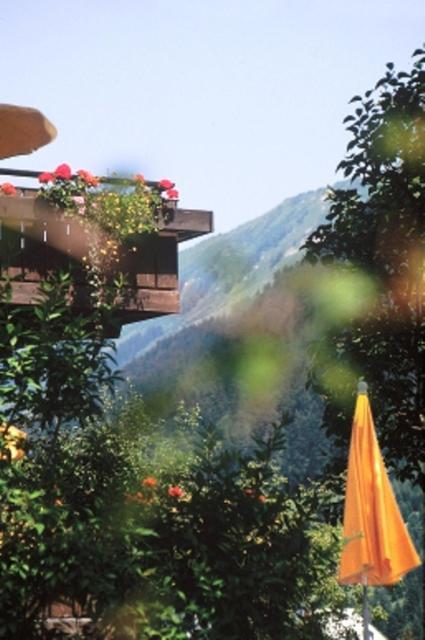 Hotel Adler Garni Hirschegg (Vorarlberg) Exterior foto
